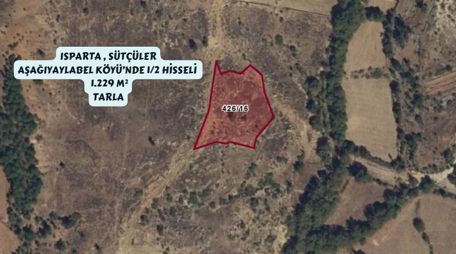 ISPARTA SÜTÇÜLER AŞAĞIYAYLABEL'DE 1/2 HİSSELİ 1229M² TARLA - ISPARTA SÜTÇÜLER fotoğraf 5